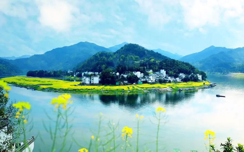 环保节能全自动